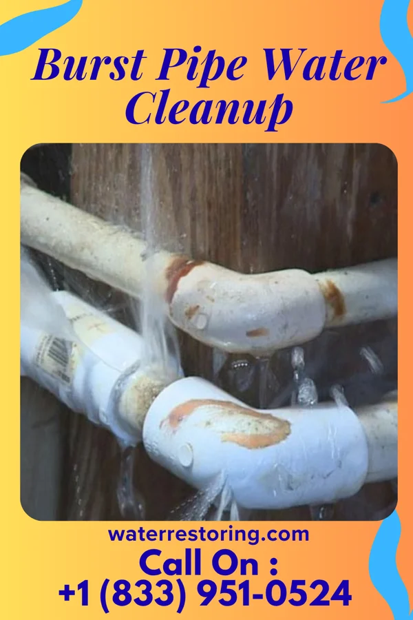 Burst Pipe Water Cleanup in Dayton, VA