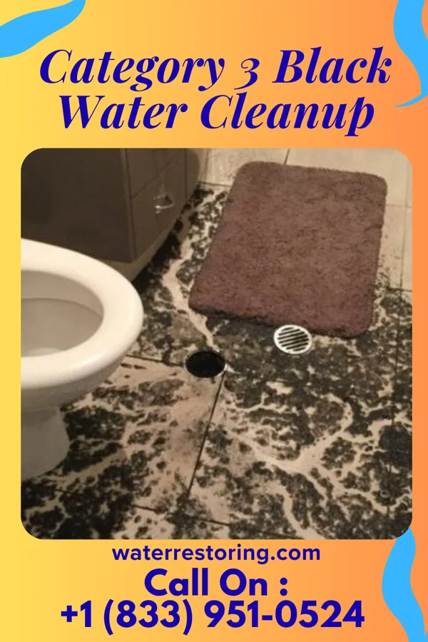 Category 3 Black Water Cleanup in Dayton, VA
