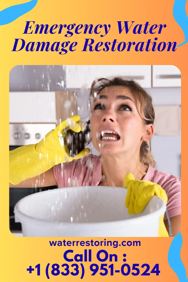 Emergency Water Damage Restoration in Dayton, VA