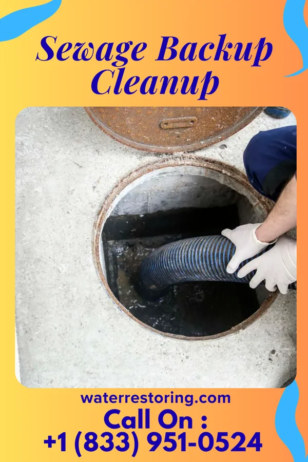Sewage Backup Cleanup in Dayton, VA