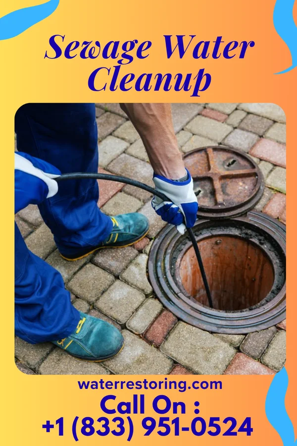 Sewage Water Cleanup in Dayton, VA